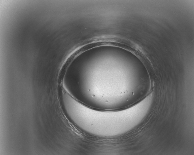 X0000060581312200511071035