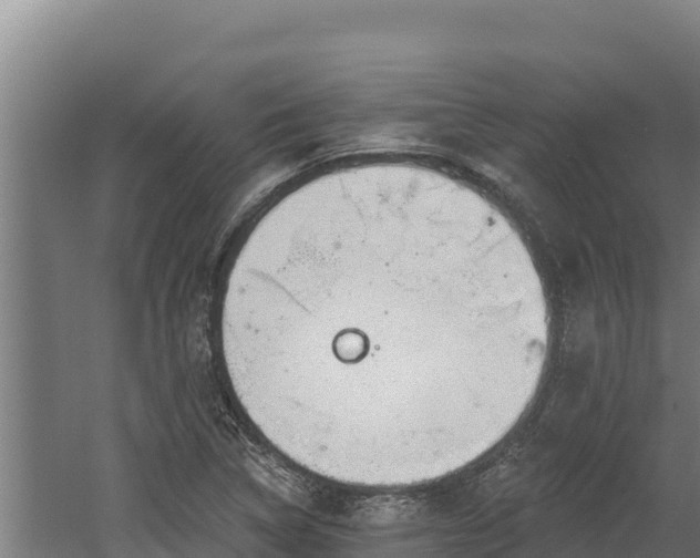 X0000060581314200511071035