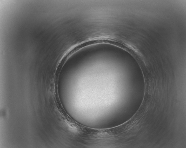 X0000060581316200511071035