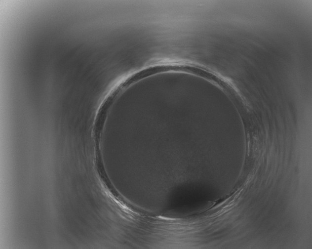 X0000060581319200511071035