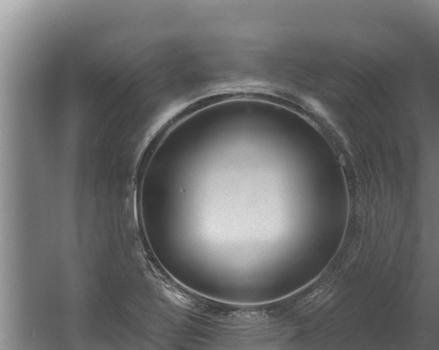 X0000060581320200511071035