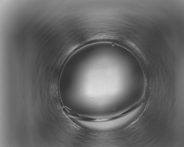 X0000060581321200511071035