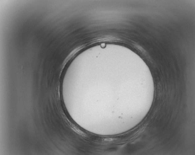 X0000060581322200511071035