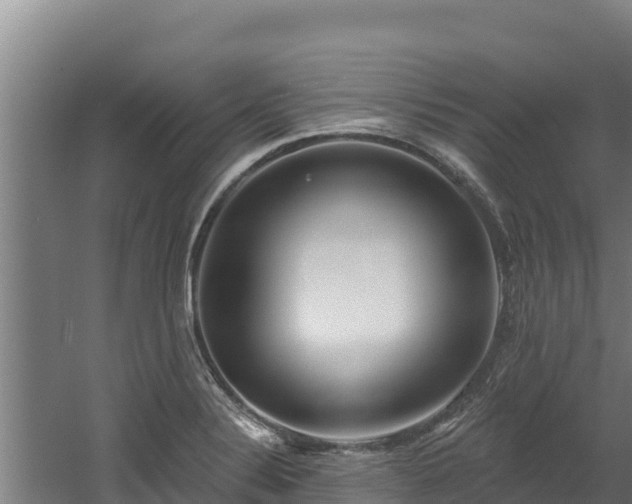 X0000060581324200511071035