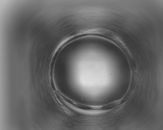 X0000060581328200511071035