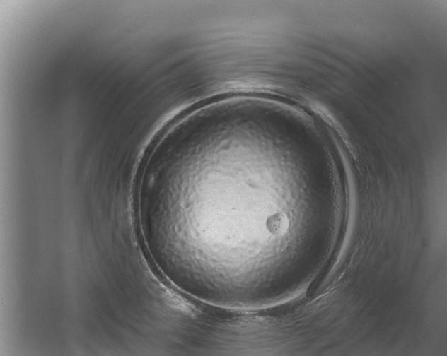 X0000060581331200511071035