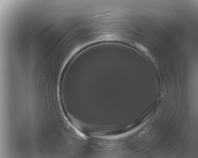 X0000060581334200511071035