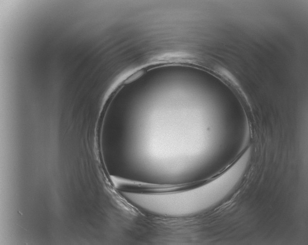 X0000060581336200511071035