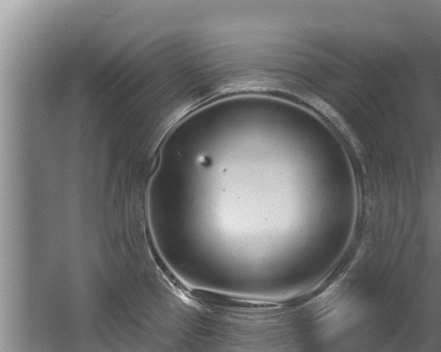 X0000060581337200511071035