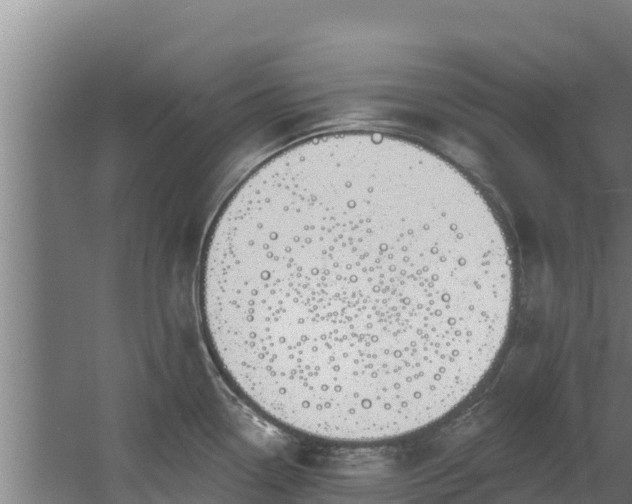 X0000060581338200511071035