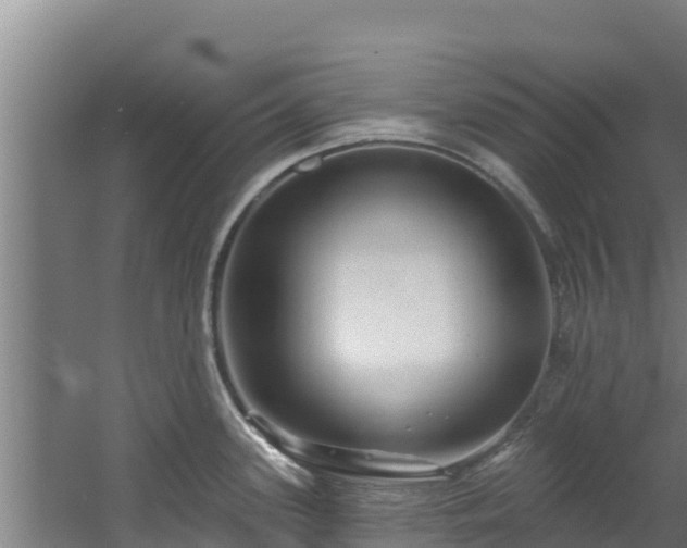 X0000060581339200511071035