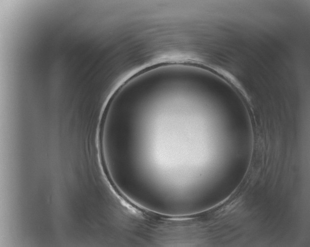 X0000060581343200511071035