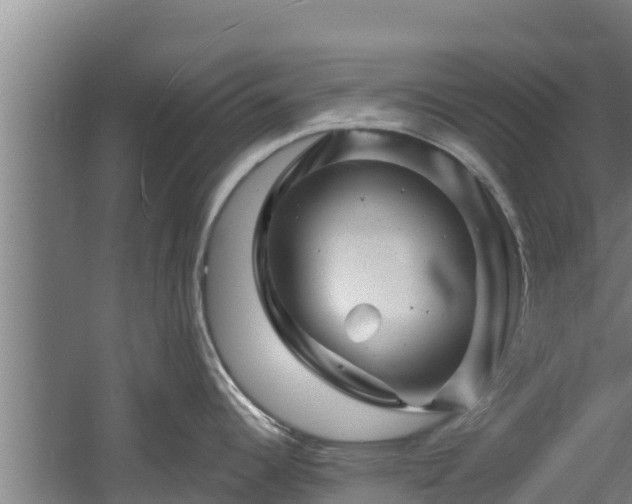 X0000060581344200511071035