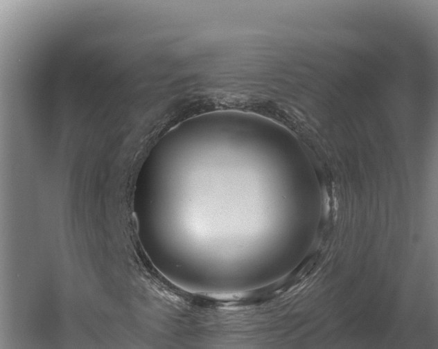 X0000060581345200511071035