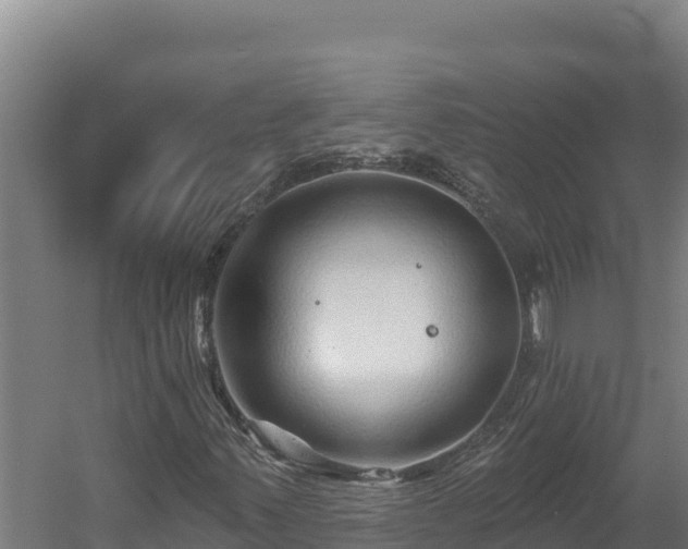 X0000060581347200511071034