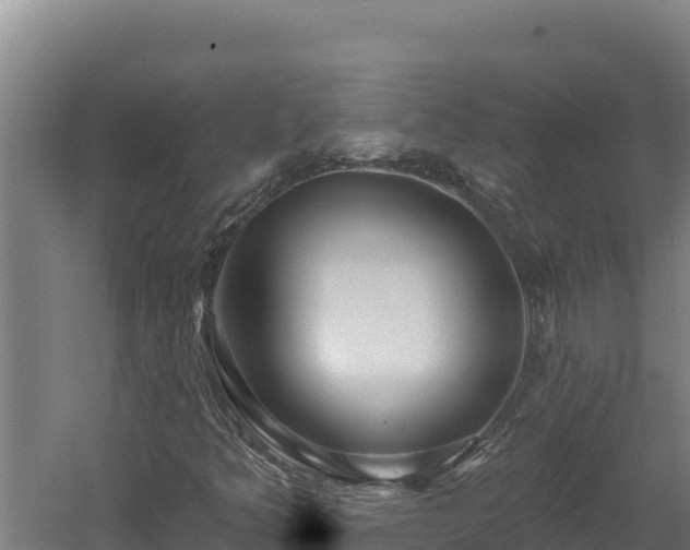 X0000060581349200511071034