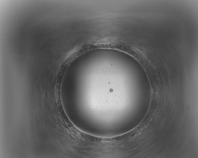 X0000060581350200511071034