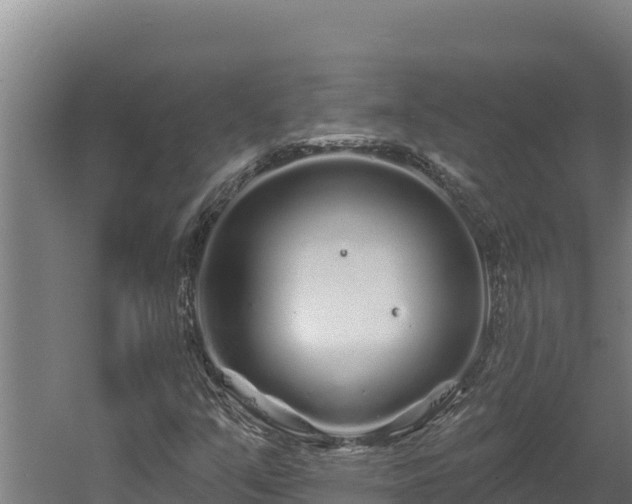 X0000060581351200511071034