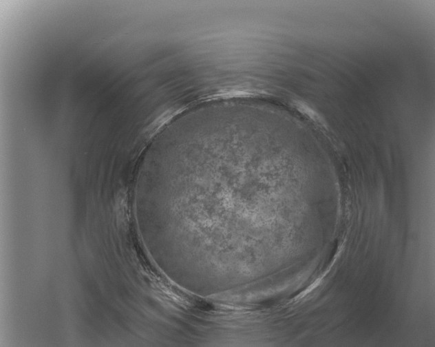 X0000060581353200511071034