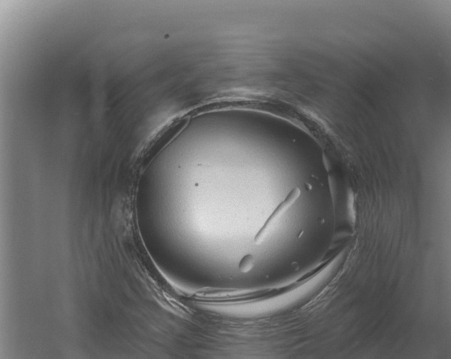 X0000060581355200511071034