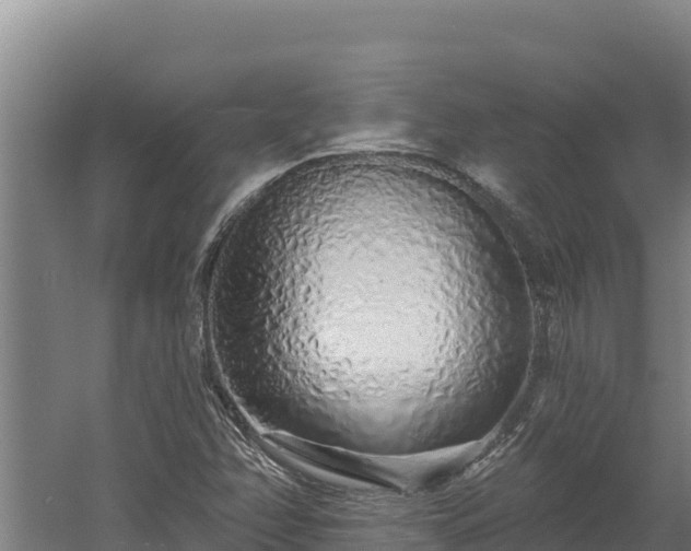 X0000060581358200511071034