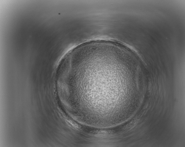 X0000060581359200511071034