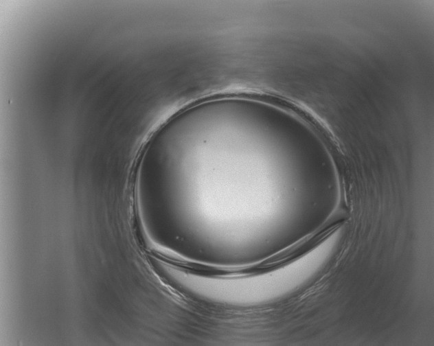 X0000060581367200511071034