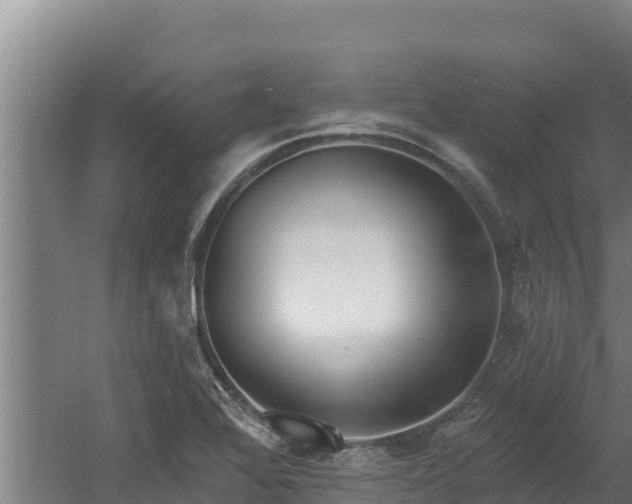 X0000060581368200511071034