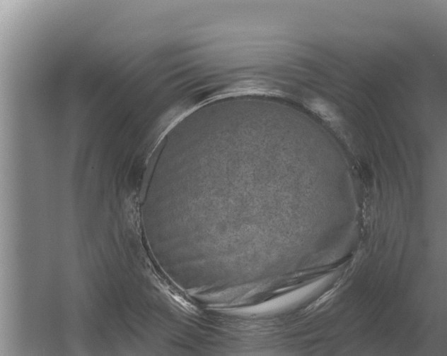 X0000060581369200511071034