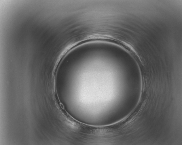 X0000060581371200511071034