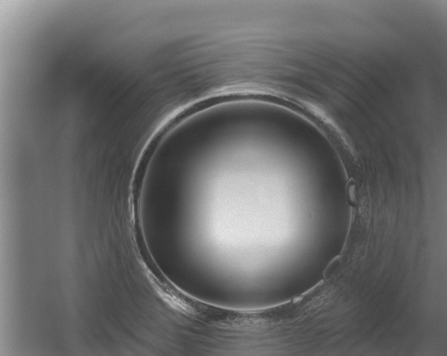 X0000060581372200511071034