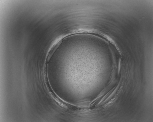 X0000060581373200511071034