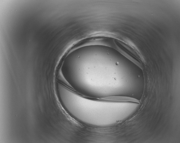 X0000060581376200511071034