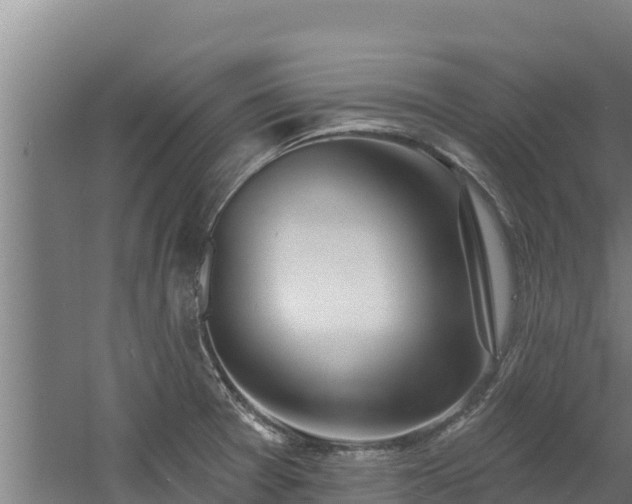 X0000060581377200511071034