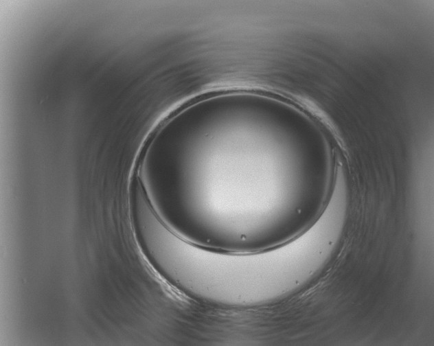 X0000060581380200511071034