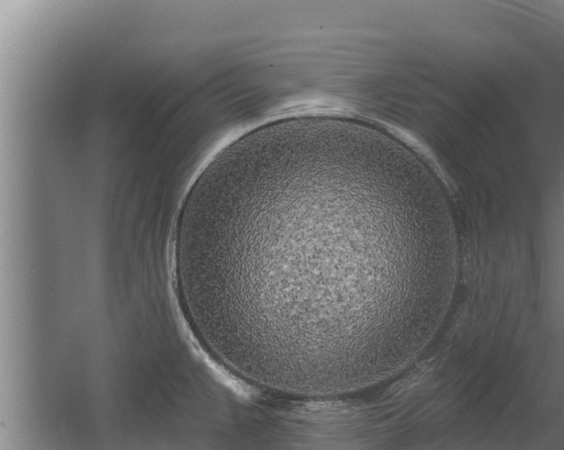 X0000060581383200511071034