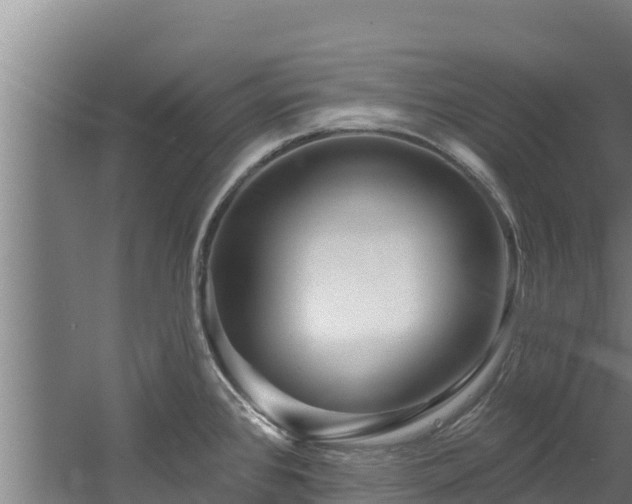 X0000060581384200511071034