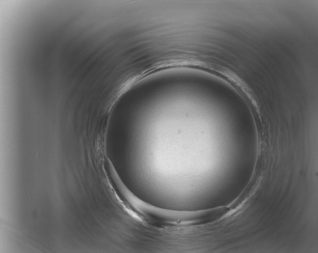 X0000060581385200511071034