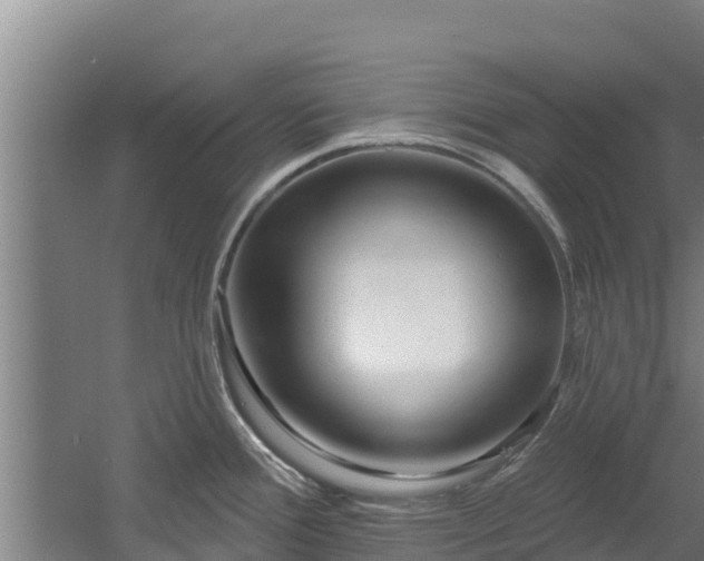 X0000060581388200511071034