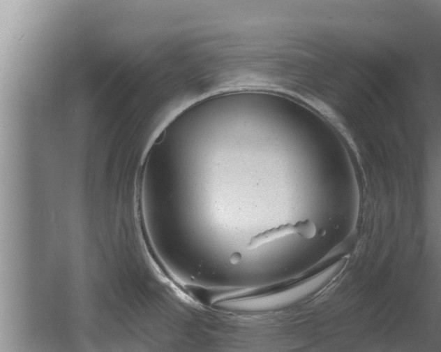 X0000060581390200511071034