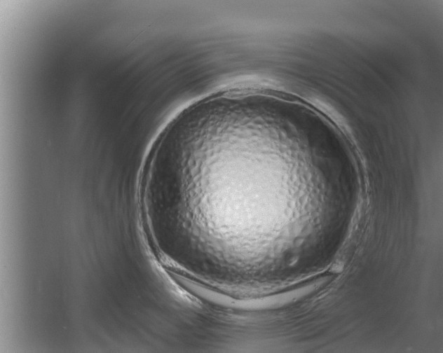 X0000060581392200511071034