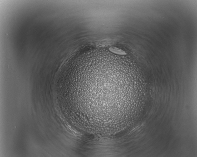 X0000060581393200511071033