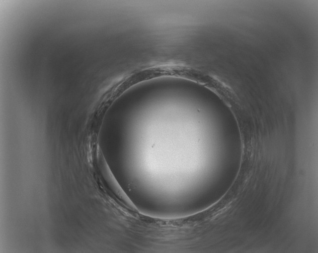 X0000060581398200511071033