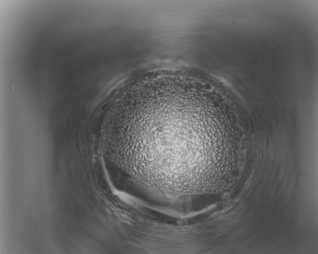 X0000060581399200511071033