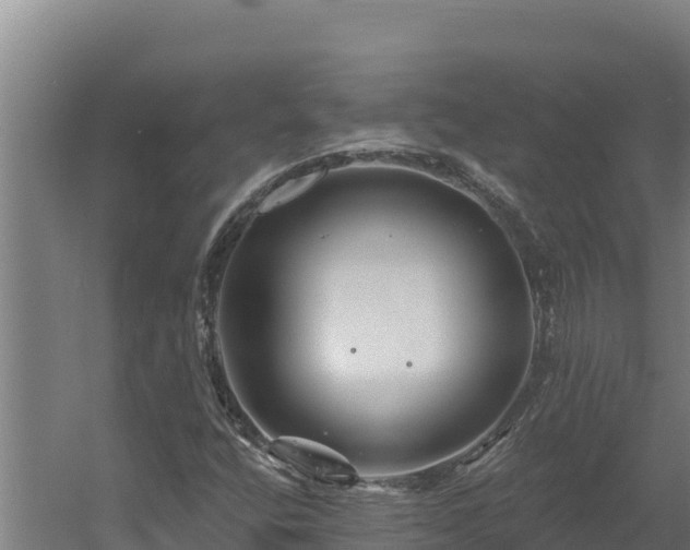 X0000060581400200511071033