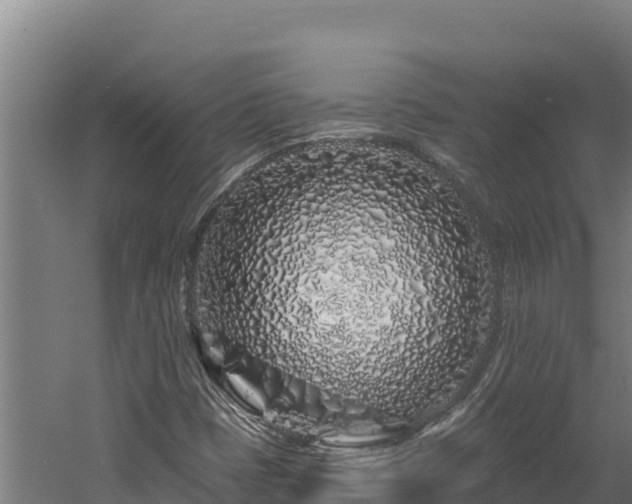 X0000060581401200511071033