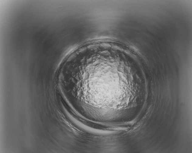 X0000060581405200511071033