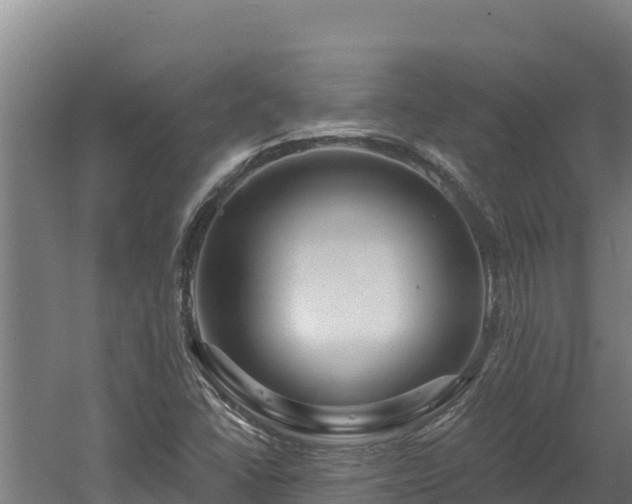 X0000060581406200511071033