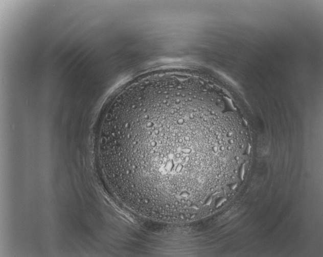 X0000060581411200511071033