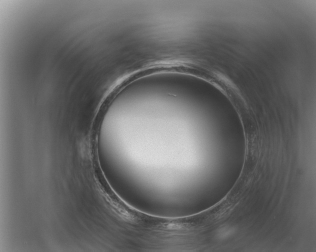 X0000060581412200511071033